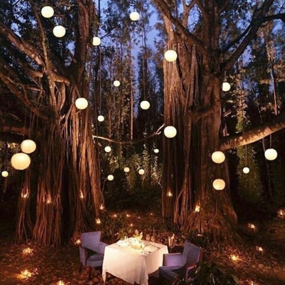 Meet the Posher Other - Meet your Posher, Kylie